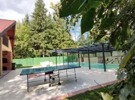 Villa Kamenica