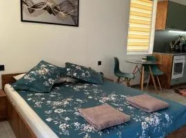 Alex Apartment