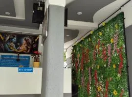 Hotel Shree Krishna Inn