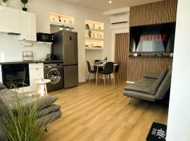 VIBE S33 Apartman,AC,Free Parking