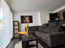 Appartement spacieux centre Huy