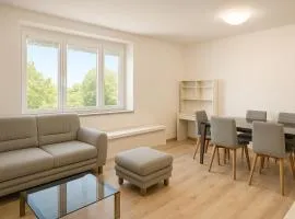 Stay in Piešťany Business 2BR