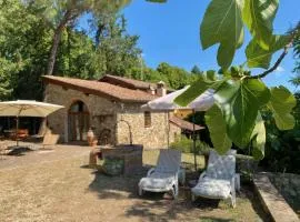 Berenice in Chianti - Authentic Tuscan Country House