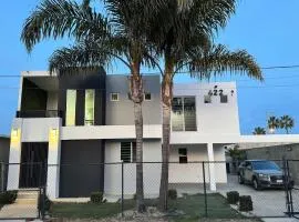 Luxurious & Modern House