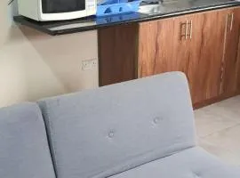 Twin Apartments