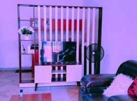 Affordable luxury apartment, walk to city cente