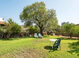 Il Giardino Di Mango