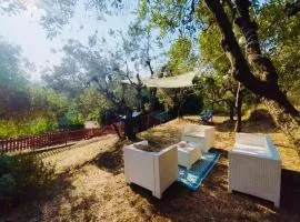 Casa Isabella- Barbecue, Giardino