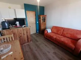 Studio ski aux pieds avec balcon et animaux acceptés - FR-1-181-2861