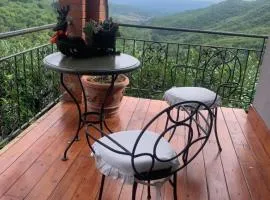 House Giedre with Jacuzzy in Tuscany