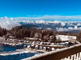 Studio 4 pers Roche Béranger, Hotel in Chamrousse