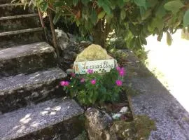 Elisa's house