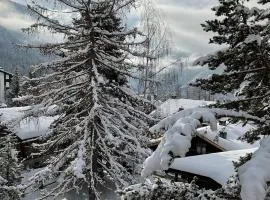 Alpine Chic Valtournenche