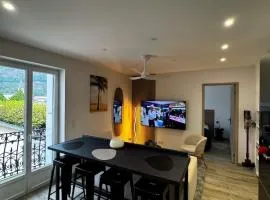 Appartement cosy face au château de Lourdes