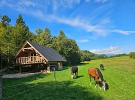 Cozy house Dalija