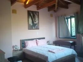 Garavelas Home Το σπιτι στην Καστανιανη Μαστοροχωρια Κονιτσα