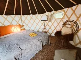 Yurt Birzs with Sauna at Kleja Camping