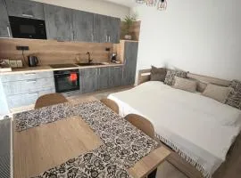 Prague Airport Family Lodging
