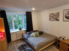 One room apartment near Xiaomi Arena
