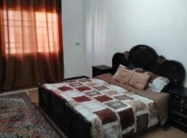 شقة ام نوارة الحديثة الفارهة spacious economic flat