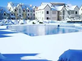 Avec piscine 06-17-61-38-73