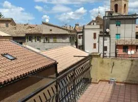 La gatta sui tetti