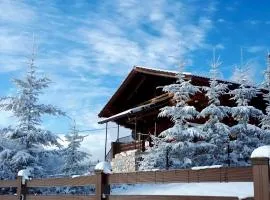 Artem Chalet