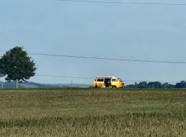 Blues farm