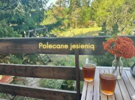 Widny Jaś zaprasza z psem nad jezioro na Kaszubach