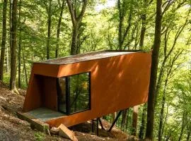 Cabane dans les arbres