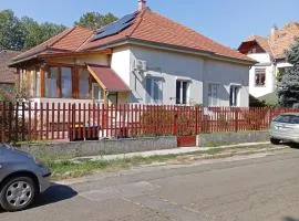 Cozy House with Garden and FreeParking