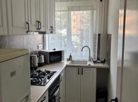 Elena Apartament