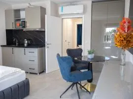 Deluxe Apartment am Rhein
