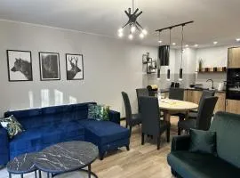 Źródło Izery apartament 41