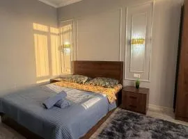 Spacious apartment in the city center