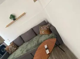 L' instant Bohème T2 clim , piscine , parking