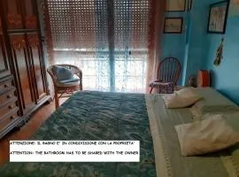 Room country-lake