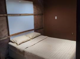 Departamento zona centro, apartment in Aguascalientes