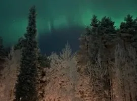 Rytiniemen rantamökki