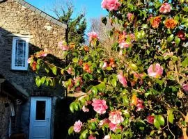 Cute Cornish Cottage