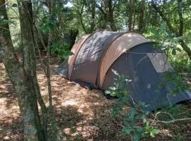 Dargle campsite