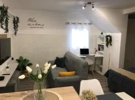 Casa Refugio