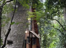 Kivulini A-Frame Cabin Forest
