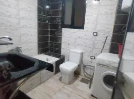 شقه عائليه