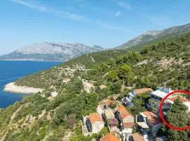 Apartments with parking space Borje, Peljesac - 21496