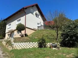 Apartments with parking space Tuheljske Toplice, Zagorje - 24875