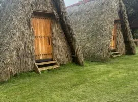 Cabañas Green Life