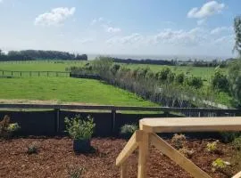 Harbour and rural views