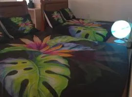 FINAU 685 Accommodations