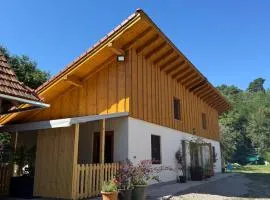 Rezi Pava